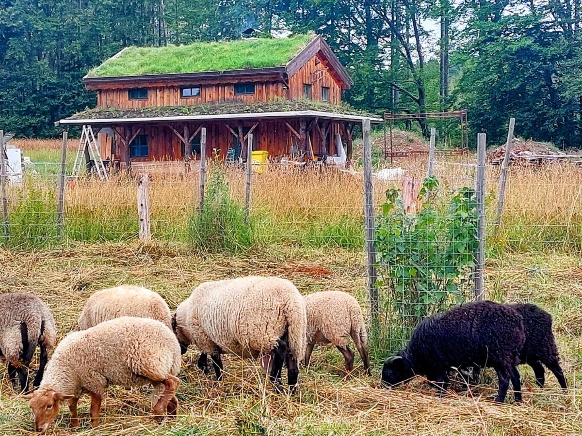 Chalet Boruvka - Biofarma Na Samote V Lesich Benesov  Exterior photo
