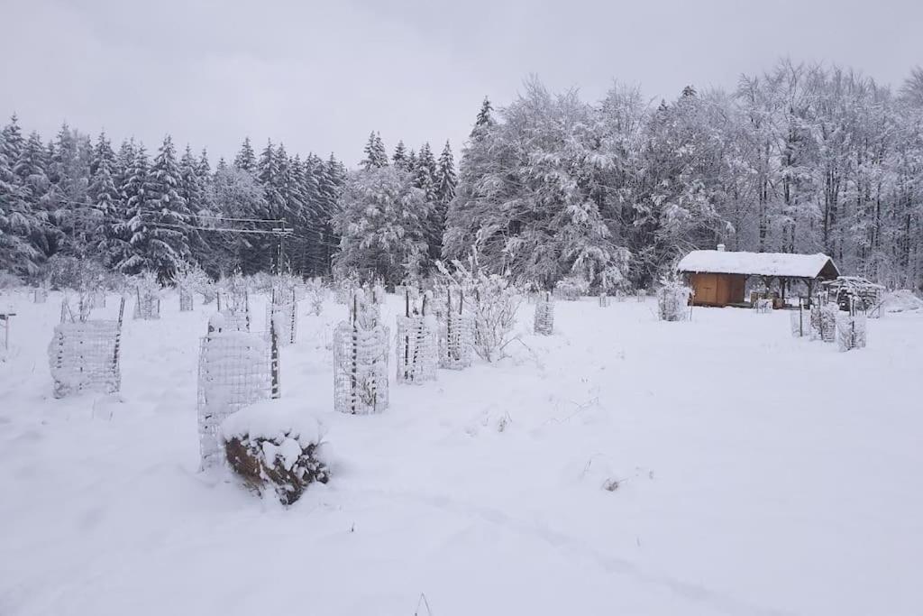Chalet Boruvka - Biofarma Na Samote V Lesich Benesov  Exterior photo