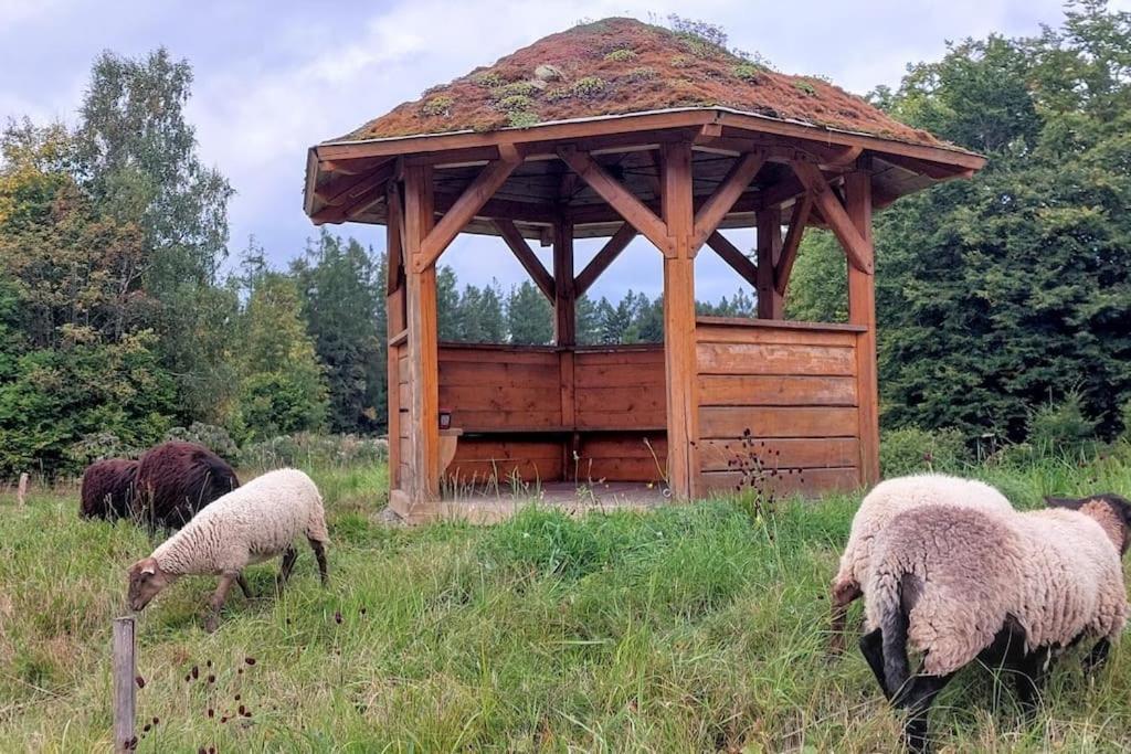 Chalet Boruvka - Biofarma Na Samote V Lesich Benesov  Exterior photo