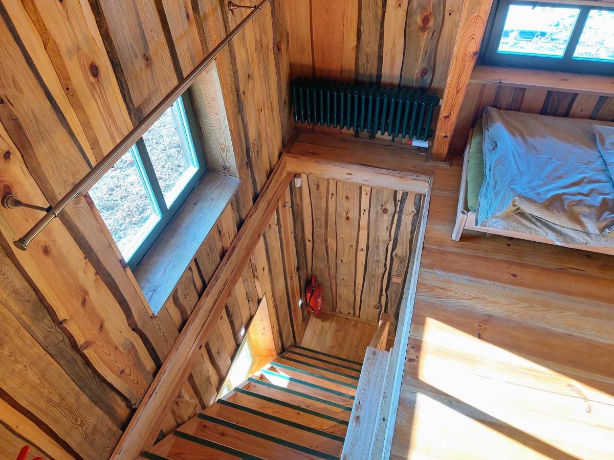 Chalet Boruvka - Biofarma Na Samote V Lesich Benesov  Exterior photo